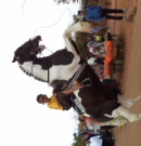 Topper