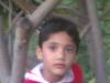 Topper